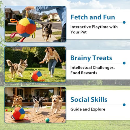 ZRW Calming Jumbo Ball for Dogs,Herding Ball for Dogs,Durable Tear-Resistant Inflatable Big Ball,Resistant Inflatable Big Ball with Handle Cover & Pump for Play & Exercise Dogs-(9.84in)