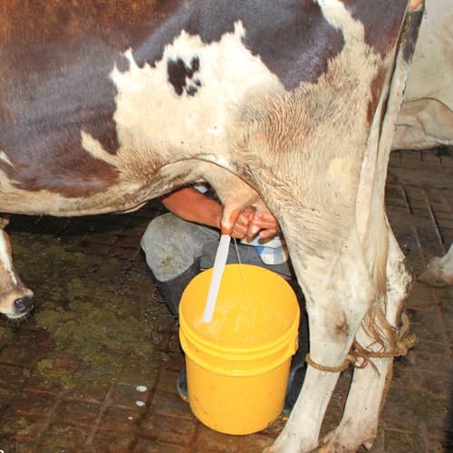 SHINEOFI Food Grade Silicone Milking Tube Connector for Manual and Electric Dairy Cow Milking Machines Portable Accessory for Farm