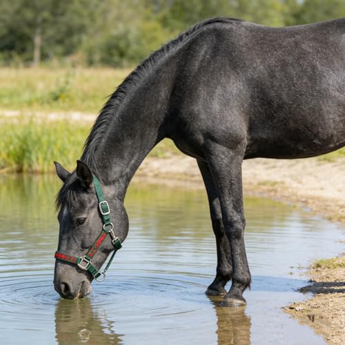 Heavy Duty Soft Nylon Horse Halter, Padded and Adjustable, Chin and Throat Snap Hook Halters for Horses, Heavy-Duty Metal Buckle - color: Red Pattern