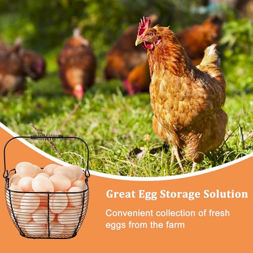 2 PCS 7" Black Square Wire Egg Baskets for Fresh Egg With Handle, Small Metal Collecting Basket for Gathering Fresh Eggs, Chicken and Duck Eggs Hunting Basket Egg Holder Countertop - color: Black