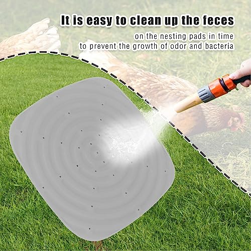4pcs Chicken Nest Mat, Washable Poultry Nesting Box Pads PVC Water Proof Egg Collector Protector Liners for Laying Eggs Chicken Coop (Gray) - color: Gray