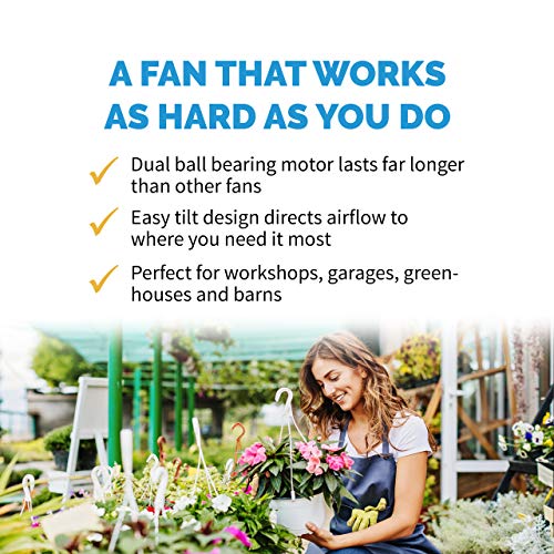 NewAir 20" High Velocity Wall Mount Fan, Heavy Duty Waterproof Outdoor Fan, Adjustable Tilt and 3 Speeds up to 4650 CFM, Pull Chain Switch | Wall Fan or Garage Fan for Indoor, Patio, Gym or Porch