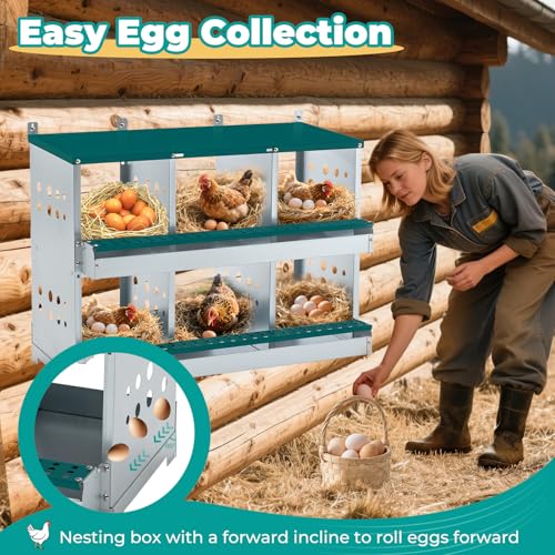 Yafylly Chicken Nesting Box 6 Compartments, Metal Chicken Laying Boxes Wall Mountable, Easy Egg Collection Roll Away Nesting Boxes Chicken, Chicken Coop Nesting Boxes for Hens Laying Eggs - color: Green, size: 6-Hole