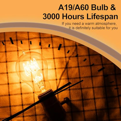 Warm Incandescent Light Bulbs 60 Watt,A19/A60 Vintage Style Edison Bulbs E26,Soft Yellow Light Bulbs,Amber Bulbs,Retro Light Bulb Old Fashioned,Halogen Dimmable Edison Bulb Squirrel Cage 12 Pack - size: 12 Count (Pack of 1)