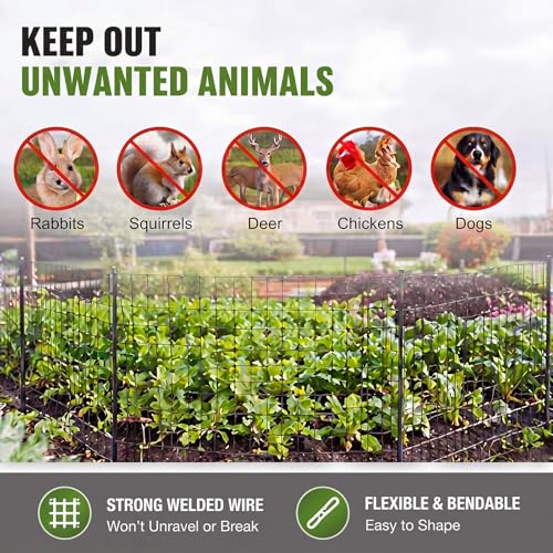 2 Roll 25 ft 50 ft in Total Black Metal Galvanized Welded Wire Fence Garden Animal Fencing Outdoor PVC Coated Wire Mesh for Yard Vegetable Plant Protection Poultry Netting for Chicken, Dog