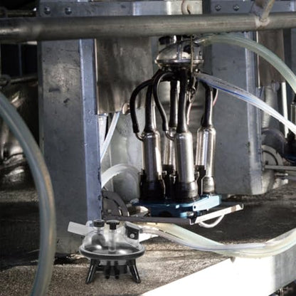 SUPVOX 240cc Milking Machine Accessories Milking Tube Claw Collector Milker Parts for Dairy Farm