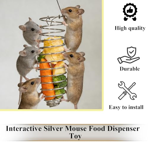 2Pcs Rat Enrichment Toys,Bird Cage Food Fruit Vegetable Holder,304 Stainless Steel Foraging Toy,Fancy Mice Cage Accessories Puzzle Toy,Hanging Rodent Toys Slow Feeder,Bird Foraging for Parakeet