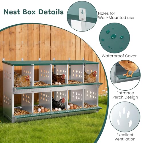 Yafylly 10-Bay Metal Nesting Box for Chickens & Ducks, Wall Mounted Galvanized Steel Coop with Ventilation and Easy Egg Collection
