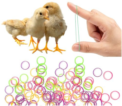 100PCS Baby Poultry Leg Bands, Soft Elastic Chicken Leg Rings for Identification, Comfort Fit for Chicks Ducklings Bantams Pigeons Parrots Canaries and Small Birds (Medium (Size 4) 1/4”) - size: MEDIUM (Size 4)1/4”