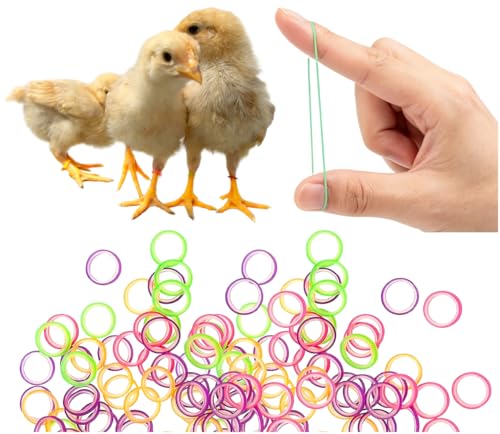 100PCS Baby Poultry Leg Bands, Soft Elastic Chicken Leg Rings for Identification, Comfort Fit for Chicks Ducklings Bantams Pigeons Parrots Canaries and Small Birds (Small (Size 3) 3/16”) - size: SMALL (Size 3)3/16”