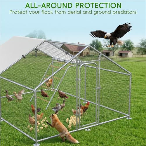 Large Metal Chicken Coop with Roosting Perch, Waterproof and UV-Resistant Cover,Outdoor Walk-in Cage Hen House for Yard Farm Rabbit Duck Chicken Run Spire Roof (10’ W x 13.2’ L x 6.4’ H)