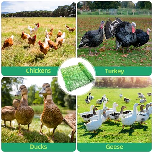 Poultry Netting Electric Fence, Portable Livestock Nets Mesh for Chickens, Ducks, Geese, Turkey, Electric Fencing for Backyards, Homesteaders, Farms, Ranches (Green, 41.5" H x 164' L Poultry)