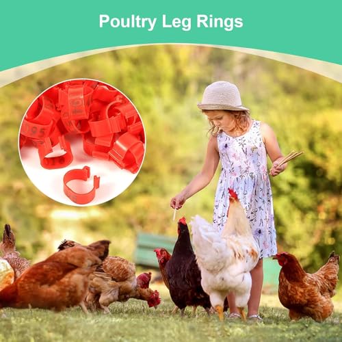 Poultry Leg Bands, 6 Colors 100PCS/Bag 16MM 001-100 Numbered Plastic Poultry Chickens Ducks Goose Leg Bands Rings for Chickens Gamefowl Turkey Duck Goose(Red) - color: Red