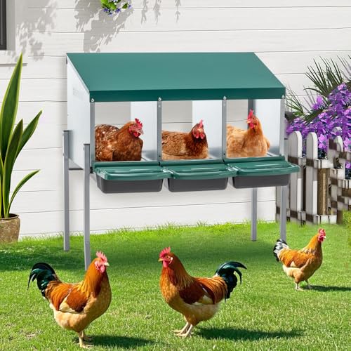 Heavy-Duty Metal Chicken Nesting Box for Backyard Flocks – Wall-Mounted Egg Laying Compartment with Rust-Resistant Finish (3-Hole with Legs,Green)