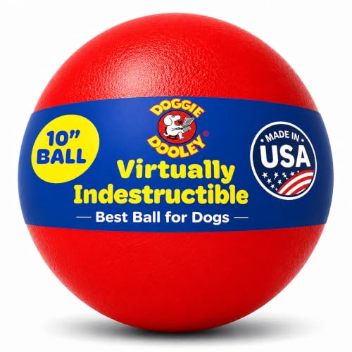 Doggie Dooley Virtually Indestructible Dog Ball - 10 Inch Hard Plastic Interactive Dog Toy for Large Breeds Over 45+ lbs - Built for Herding & Push Play - Floats in Water, Made in USA - Red - color: Red, size: Large (10 inch)