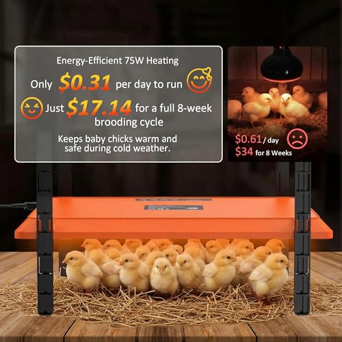 Brooder Plate for Chicks, 12" x 16" Heat Plate for Chicks for 20 Chick, 75 Watts Chicken Coop Heater with Adjustable Temp Timer & Height & Angle, IPX4 Waterproof, UL-Certified