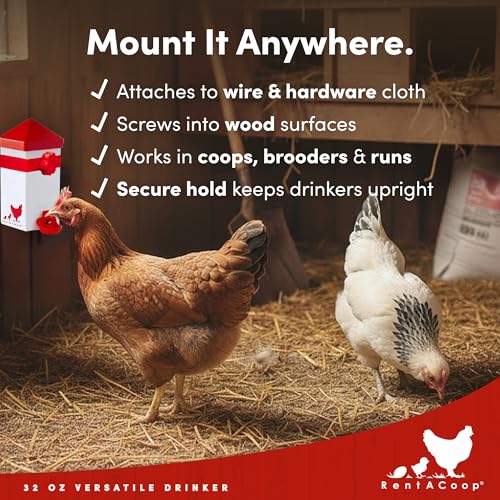 RentACoop 32oz (1 Liter) Chicken Drinker with 2 Versatile Nipples - Ideal for Baby Chicks, Quail, Small Birds, and Ducklings - Easy-to-Use Chicken Waterer Solution - Ideal for Coops and Cages