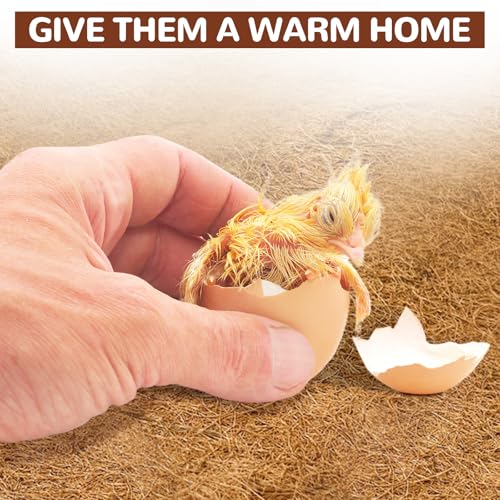 Baoblaze 6X Nesting Mats, Hen Nest Box Pads, Comfortable Coconut Fiber, Reusable Poultry Supplies, Washable Bedding Mats for Hen Laying Eggs, Coop Pet Garden Lawn Indoor Outdoor, 20x20cm - size: 20x20cm