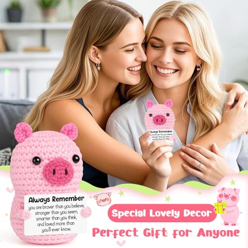 Mini Funny Birthday Handmade Crochet Pink Pig Encouraging Gift for Women | Back to School Gift for Student,Teacher Graduation Inspirational Cheer Up Support Gift for Girl Teen Friend Her Coworker - style: Always Remember