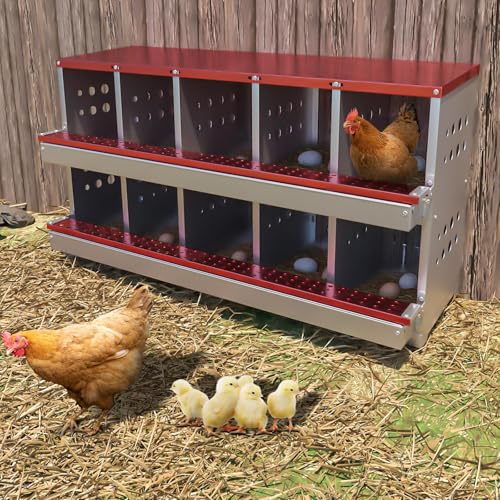 Chicken Nesting Box, 10 Compartment Roll Away Laying Box for Hens, Heavy-Duty Galvanized Steel, Front Egg Collection Tray, 10 Training Eggs Included - color: Red, size: 10 Compartments & 10 Eggs