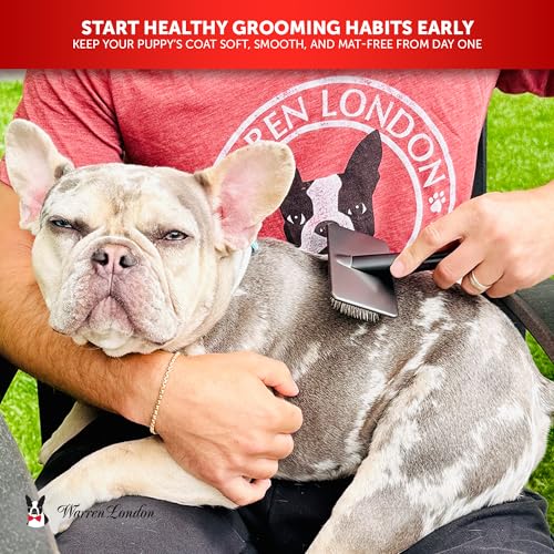 Warren London Gentle Touch Slicker Brush for Puppies & Small Dogs – 4" x 2" Soft Pin Grooming Brush – Tangle Remover for Sensitive Skin – Compact, Lightweight & Easy to Use - style: Gentle Touch Puppy Brush Small