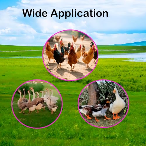 Adjustable 150 pcs Chicken Leg Rings 0.6-0.8in Numbered Chicken Identification Duck Leg Bands for Chicks Pigeon Duck Goose Gamefowl Turkey Clip on Legs Durable Color Poultry Leg Bands 16-20mm