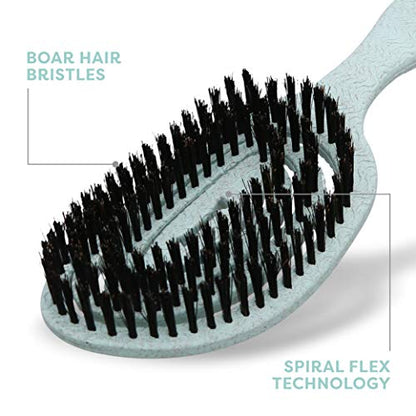 BioSilk for Dogs Eco-Friendly Boar Hair Bristle Brush in Mint Green | Easy to Hold Ergonomic Handle Dog Brush for Shedding | Best Pet Brush for Dog Grooming - 48 Pack - size: 48 Count