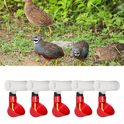 5 Pieces Watering Cups Automatic Chicken Drinking Bowls Feeder Removable Water Bowl Suitable for Breeding Farms Home Use, 10x7.3cm
