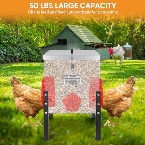 ‎Tgeyd 50 lb Heavy Duty Chicken Feeder, No Waste Galvanized Poultry Feeder with Locking Lid for Outdoor Chickens, Ducks & Geese - color: silver