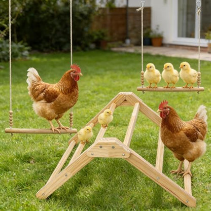 3PCS Chicken Coop Toys Set - Chicken Perch & Chicken Swing，Natural Wood Chicken Coop Accessories for Hens Poultry Rooster Bird Parrot
