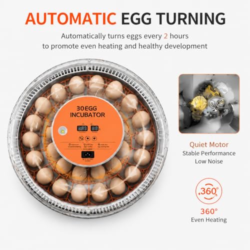 30 Egg Incubator with Automatic Egg Turning, Temperature Control and Humidity Monitor Incubators for Hatching Eggs, Chicken, Ducks, Goose, Pigeon, Quail, Parrot Incubator for Farm, Lab - size: 30-EGGS