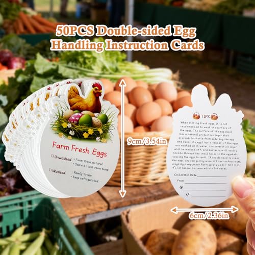 Clear Plastic Duck Turkey Jumbo Egg Storage Container, 6-Cell Cartons for Large Eggs, Reusable Refrigerator Tray (20)