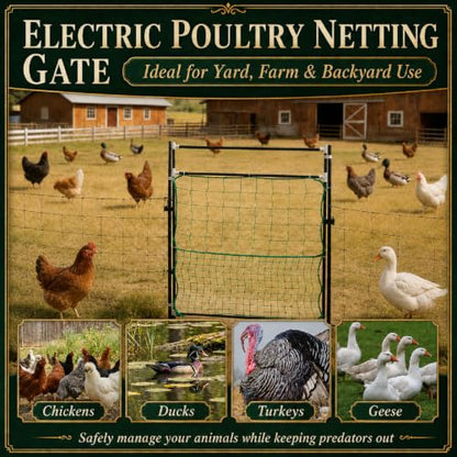 Leinuosen Electric Poultry Netting Gate, 50" H x 37" L Electric Chicken Fence Gate, Portable Poultry Nets Fence Kit for Chickens, Ducks, Turkeys, Sheep, Geese in Yard, Farms, Backyards, Garden - size: 50" X 37"