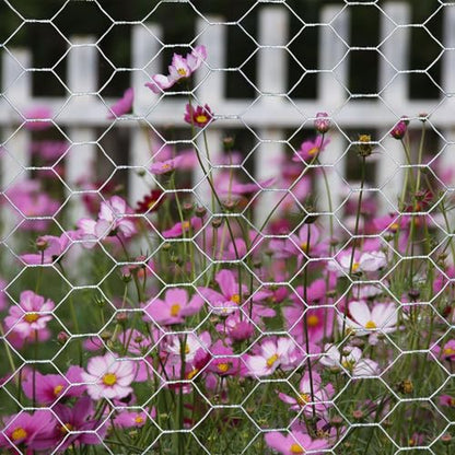 20GA Galvanized Hexagonal Poultry Netting Chicken Wire 36 inches x 25 feet x 1 inch Mesh - size: 36"x25'
