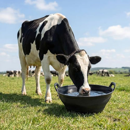6Pcs Large Rubber Feeder Pan, 3 Gallon Horse Feed Bucket Water Bowl, Heavy Duty Horses Feed Bucket Dog Bowl Horse Feeder Pan for Cats Dogs Goats Chicken Dust Bath Container Farm Animal Feeding