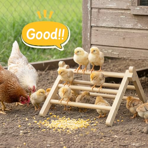 Innoland Chick Perch Foldable, Chick Toys Stable & No Assemble, Baby Chick Toys for Stand Training, 12.44" ×11.02" ×7.44" Chick Roosting Perch for Chicks Brooder | Coop (L) - size: 12.44" ×11.02" ×7.44"