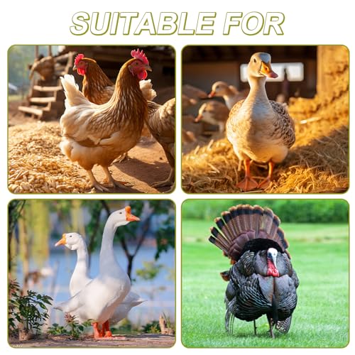 100 Pcs Adjustable Chicken Leg Rings, Multicolor Numbered Chicken Identification Leg Bands, Durable Poultry Leg Bands for Chickens Turkey Goose Ducks