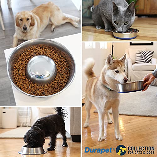OurPet's DuraPet Premium Dishwasher Safe Stainless Steel Dog Bowl for Food or Water [Multiple Sizes for Small to Large Dogs] in Traditional or Wide Base Design - 8 CUP | camping-kitchen-equipment - size: 8 Cups