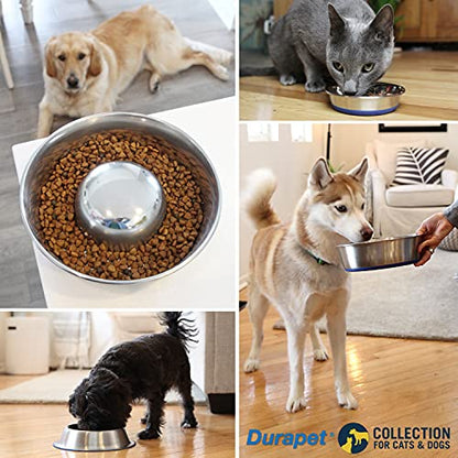OurPet's DuraPet Premium Dishwasher Safe Stainless Steel Dog Bowl for Food or Water [Multiple Sizes for Small to Large Dogs] in Traditional or Wide Base Design - 8 CUP | camping-kitchen-equipment - size: 8 Cups