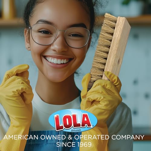 LOLA Deck Scrub Brush, 9" x 3.5" Head w/Natural Coco Bristles for Outdoor Cleaning, Removes Dirt & Grime from Patios, Decks, Grout, 1 Count - size: 1 Count, style: Coco Deck Broom -Steel Handle