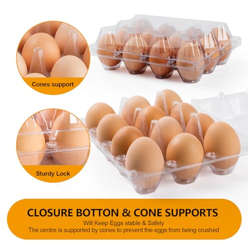 120 Pack Egg Cartons Cheap Bulk 12 Count, 1 Dozen Clear Empty Egg Cartons for Chicken Eggs, Plastic Egg Holder Egg Container for Family,Chicken Farm and Markets - Medium Egg Cartons Reusable - size: 120P3×4
