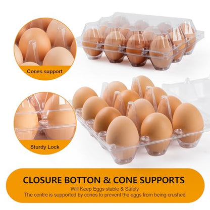 120 Pack Egg Cartons Cheap Bulk 12 Count, 1 Dozen Clear Empty Egg Cartons for Chicken Eggs, Plastic Egg Holder Egg Container for Family,Chicken Farm and Markets - Medium Egg Cartons Reusable - size: 120P3×4