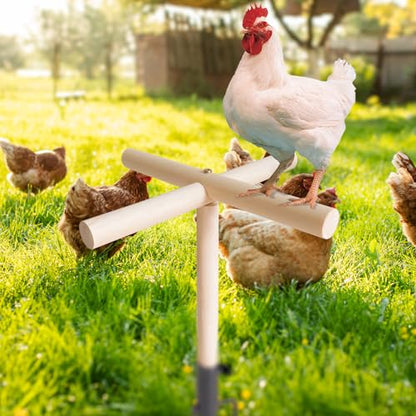 Chicken Gifts for Women, Chicken Coop Accessories, Christmas Birthday Gifts for Chicken Lovers, Chicken Roosting Bars Perch & Swing Toys for Coop, Chicken Ladder Playground for Chicks