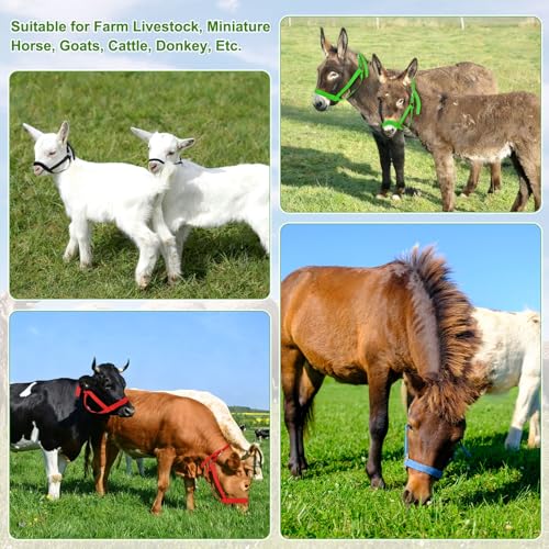 M METERXITY 2-Pack Adjustable Cattle Cow Calf Halter, 12.6"-18.9" Nylon Livestock Cow Halter with Leading Rope for Miniature Horse/Donkey/Goat/Cattle [Black]
