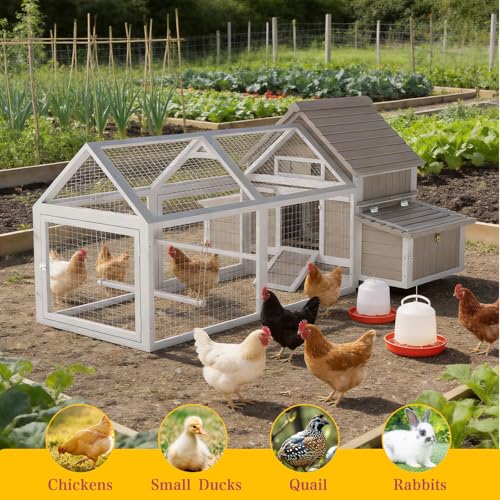 83" L Large Chicken Coop and Run, Hen House with 4 Nesting Box Boxes, Rabbit Hutch Poultry Bunny Cage for 2-5 Chickens with 4 Perches, Removable Tray and Ramp
