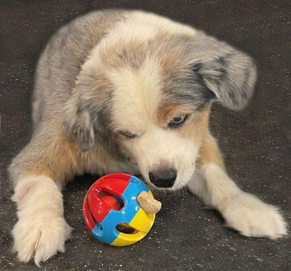 Rattle Balls 4 Pack for Dogs, Pigs, Rabbits, and Other Pets (Red Blue Yellow) - You Can Add Apples, Lettuce, or Small Dog Bones in The Holes - color: Red Blue Yellow
