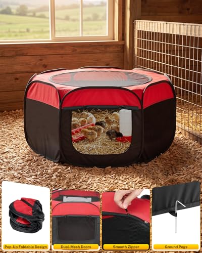 Magicfly Brooder Box for Chick, Pop-Up Chicken Brooder Box with Dual Doors, Brooder Box for Chicks Starter Kit Includes Chicken Feeder, Waterer, Perch, Holds up to 15 Chicks, Ducks & Quail - color: Basic Starter Kit