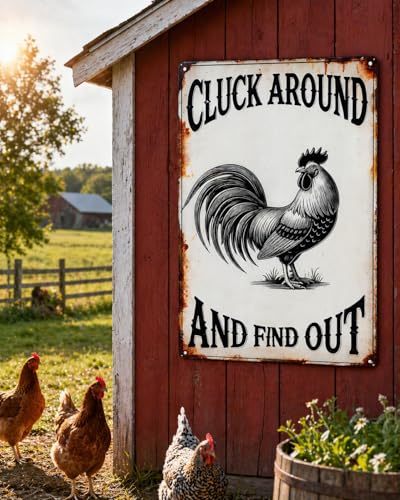 Cluck Around And Find Out Tin Sign Funny Chicken Coop Accessories for Home Farm Garden Courtyard Decor 8 X 12 Inch - size: QI-1