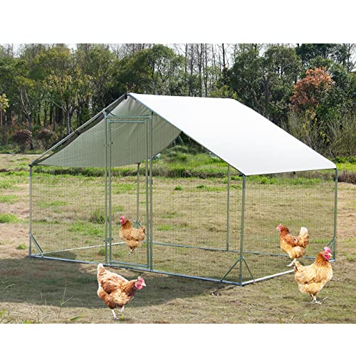 Large Metal Chicken Coop Walk-in Poultry Cage Hen Run House Habitat Spire Shaped Cage with Waterproof and Anti-Ultraviolet Cover for Outdoor Backyard Farm Use (6.5’ L × 9.84’ W) - size: 6.5’L x 9.84’W