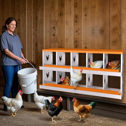 Chicken Nesting Box,10 Holes Galvanized Steel Metal Chicken Laying Box with Automatic Roll-Away Egg Collection System & Removable Tray,Wall Mount Nesting Boxes - color: Orange, size: 10 Holes